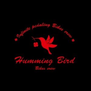 Meet your Posher, Humming bird